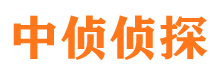 闵行市调查公司